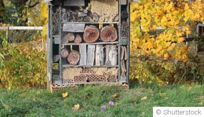 Pourquoi installer un hôtel à insectes dès l\'automne ?