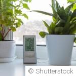 Les plantes d\'intérieur qui apprécient la baisse des températures