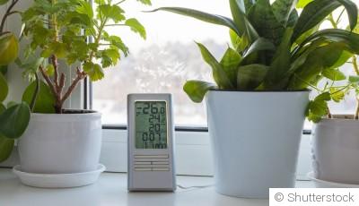 Les plantes d\'intérieur qui apprécient la baisse des températures