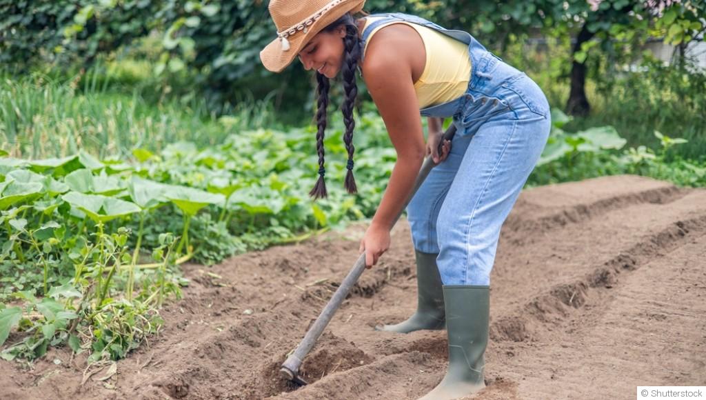 Comment préparer un jardin sans utiliser de produits chimiques ?