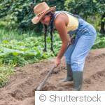 Comment préparer un jardin sans utiliser de produits chimiques ?
