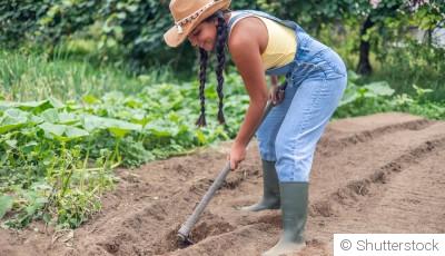 Comment préparer un jardin sans utiliser de produits chimiques ?