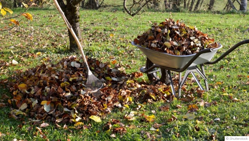 Les travaux de jardinage qui vous feront gagner du temps au printemps