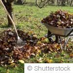 Les travaux de jardinage qui vous feront gagner du temps au printemps