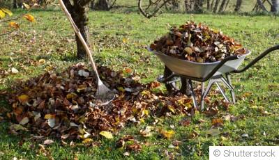 Les travaux de jardinage qui vous feront gagner du temps au printemps