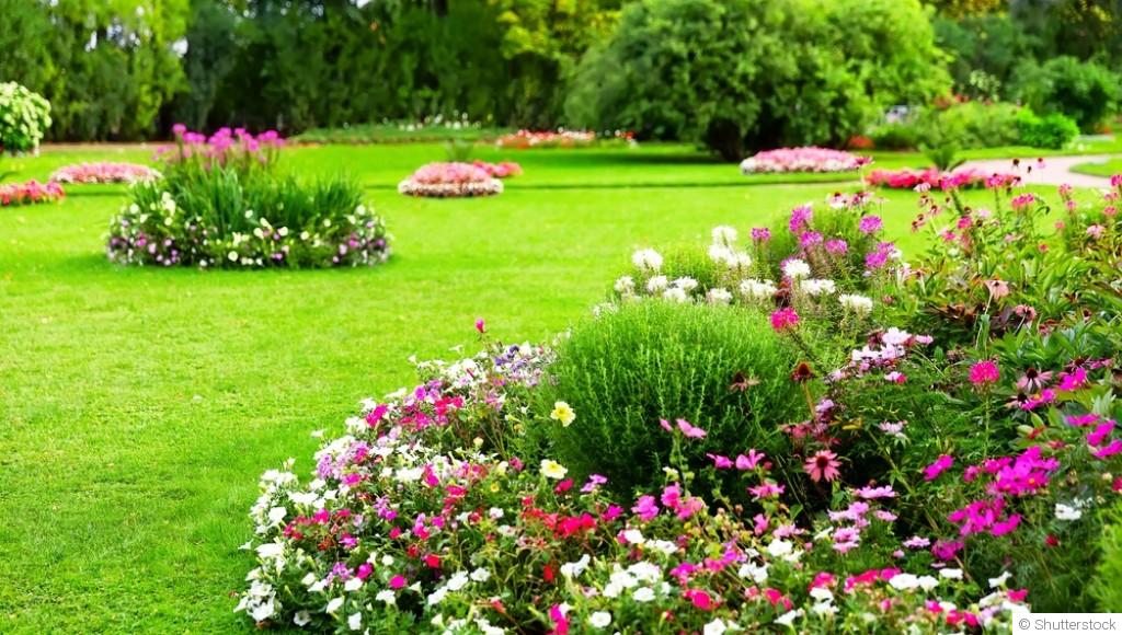 Pourquoi les jardins naturels sont de plus en plus populaires ?