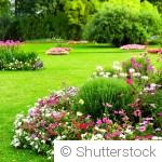 Pourquoi les jardins naturels sont de plus en plus populaires ?