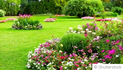 Pourquoi les jardins naturels sont de plus en plus populaires ?