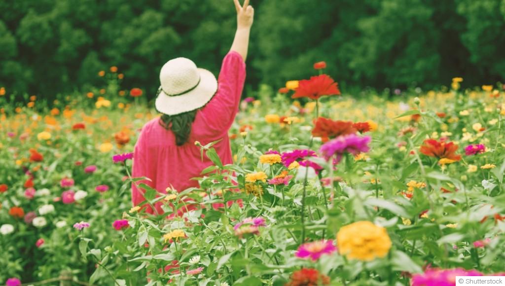 Les fleurs qui fleurissent quand toutes les autres disparaissent