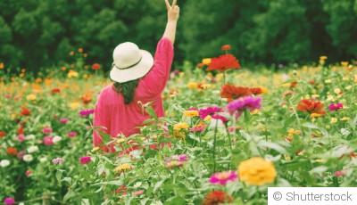 Les fleurs qui fleurissent quand toutes les autres disparaissent