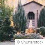Quels arbres et arbustes planter en novembre ?
