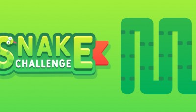 Snake Challenge