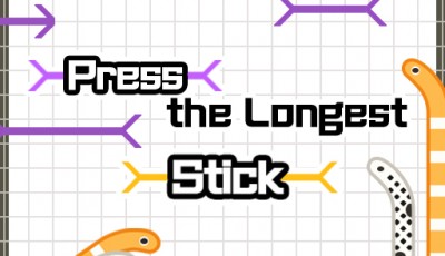 The longest Stick