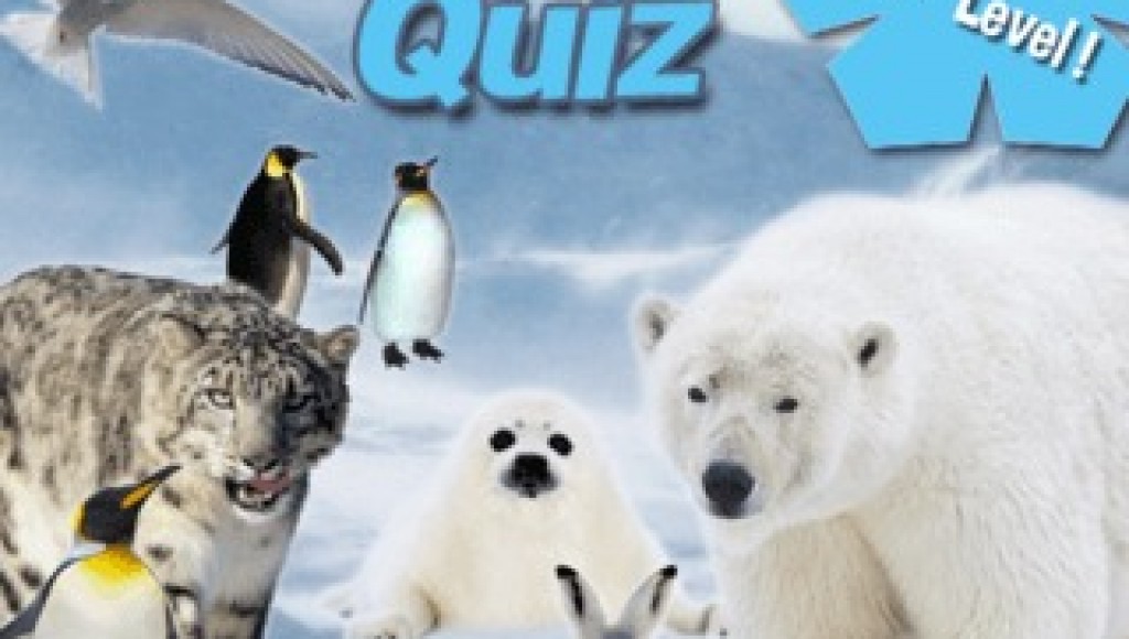 Quiz animal