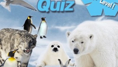 Quiz animal