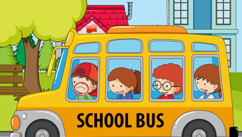 School Bus Differences