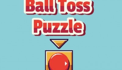 Ball Toss Puzzle﻿