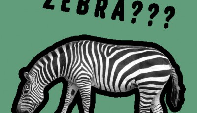 The World Easiest Quiz Game
