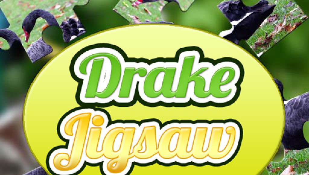 Drake Jigsaw