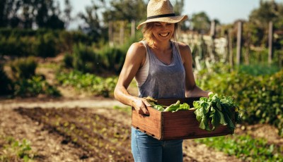 3 astuces pour avoir un joli potager chez vous