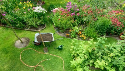 3 astuces pour prendre soin de votre jardin pendant l’été