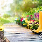Comment et pourquoi analyser le sol de votre jardin ?