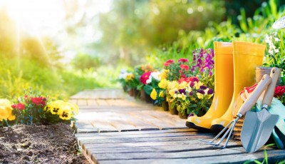 Comment et pourquoi analyser le sol de votre jardin ?