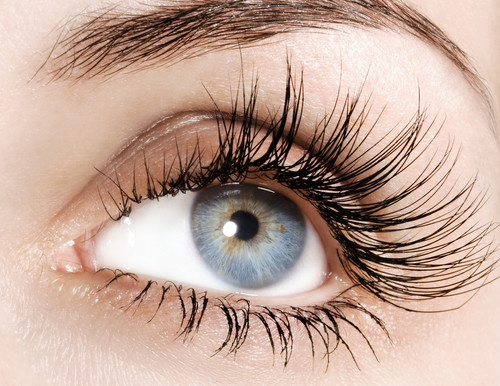 Comment lutter contre la perte de cils ?