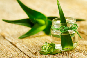 A quoi sert l’aloe vera ?