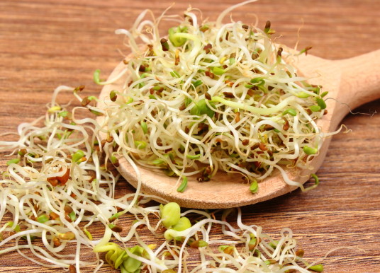 Focus sur la luzerne, plante multi-fonction