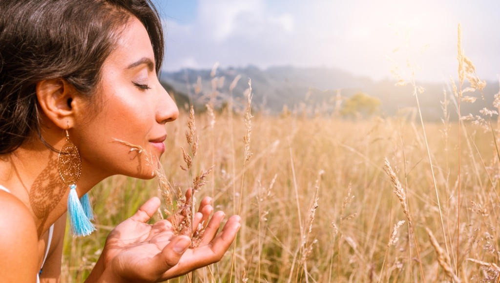 Méditation de l\'exploration sensorielle