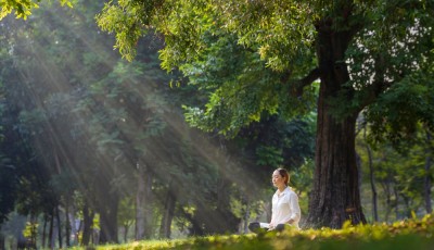 Méditation du flux et du reflux