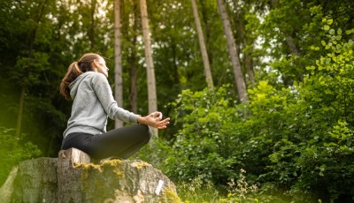 Méditation du son de la nature