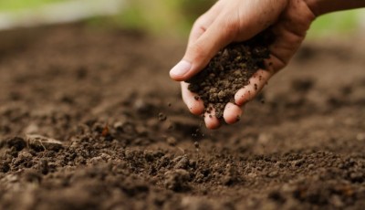 C\'est quoi l\'amendement en jardinage ?