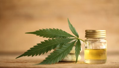 CBD : comprendre l’engouement des Français en 5 points