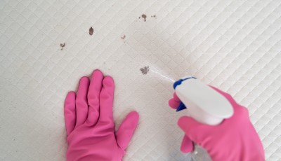 Nos astuces naturelles pour détacher un matelas
