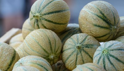 Comment choisir un melon ?
