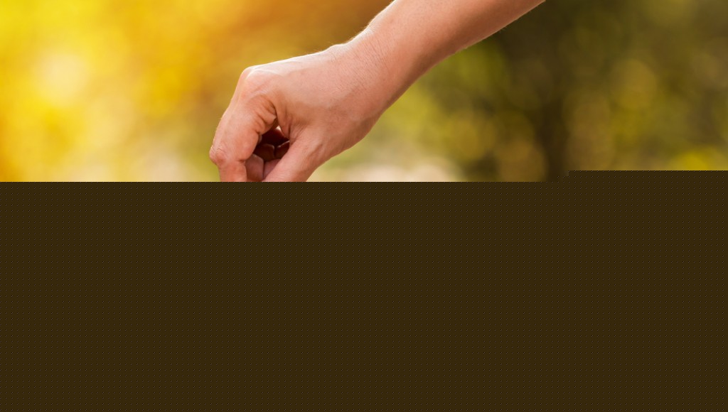 Quelles sont les plantes d\'intérieur les plus faciles à entretenir ?