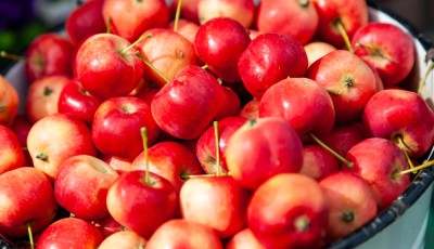 Comment bien conserver les pommes ?
