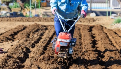 L\'achat pratique d\'une charrue de potager