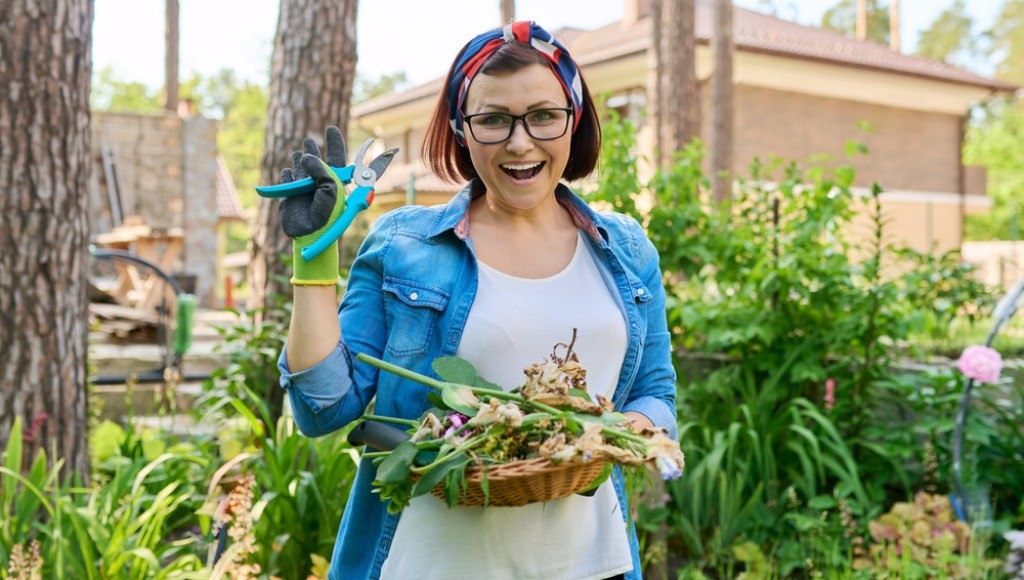 Comment entretenir ses plantes en hiver ?