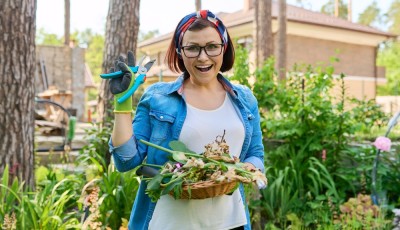 Comment entretenir ses plantes en hiver ?