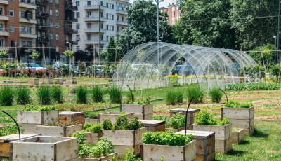 Astuces pour un jardin potager en ville