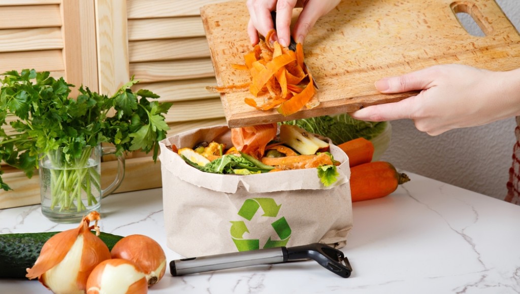 Composter ses déchets alimentaires : guide pratique
