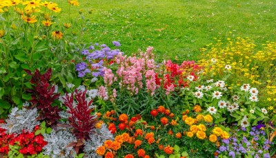 Que faire dans son jardin en mars ?