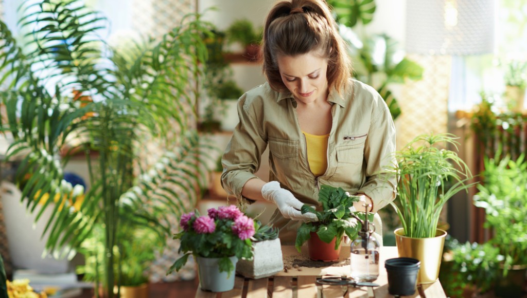 Faire du jardinage : conseils pour cultiver ses propres fruits et légumes