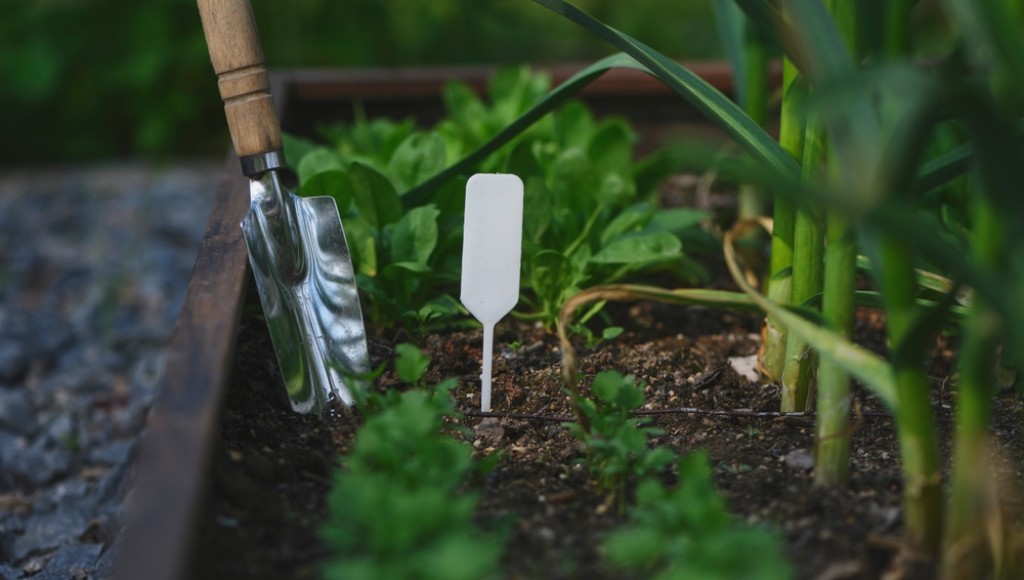 Cultiver son propre jardin potager: par où commencer?