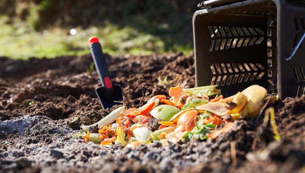 Les essentiels à savoir pour débuter en compostage