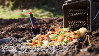 Les essentiels à savoir pour débuter en compostage