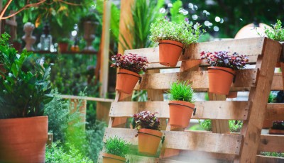 Récupération et réutilisation : projets DIY pour le jardin